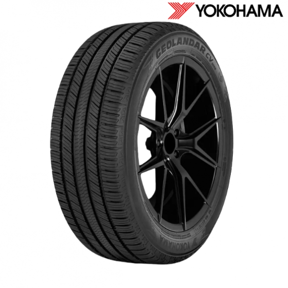 Untitled (69)--1768285298.png